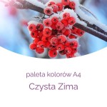 CZYSTA ZIMA - paleta kolorów